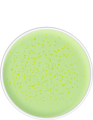 01100_00_prod_GR 11_0.png
