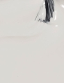 GCT71.jpg