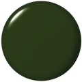 GCW55 -1.jpg