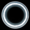 123737_4_3.jpg