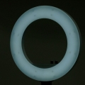 122572_6_3.jpg