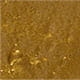 gold-1.jpg