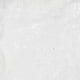 white-1.jpg