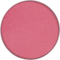 blush rose.jpg