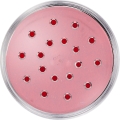 bright red-1.jpg