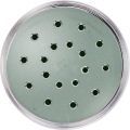 dark green-1.jpg