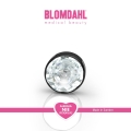 Bezel Crystal 5 mm SFJ...jpg