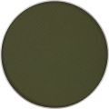 curry leaf.jpg