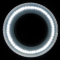 60c9b37d08ae52734c7b43e2266c2de8